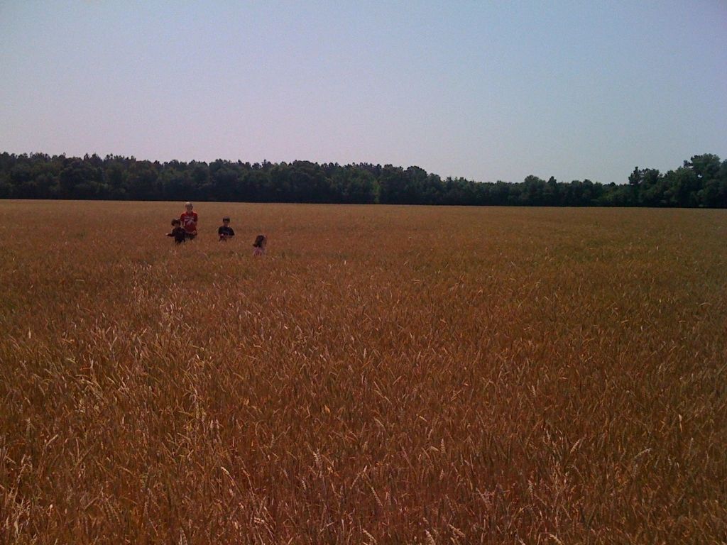 Landsdowne Dirt Pit Orangeburg County, SC